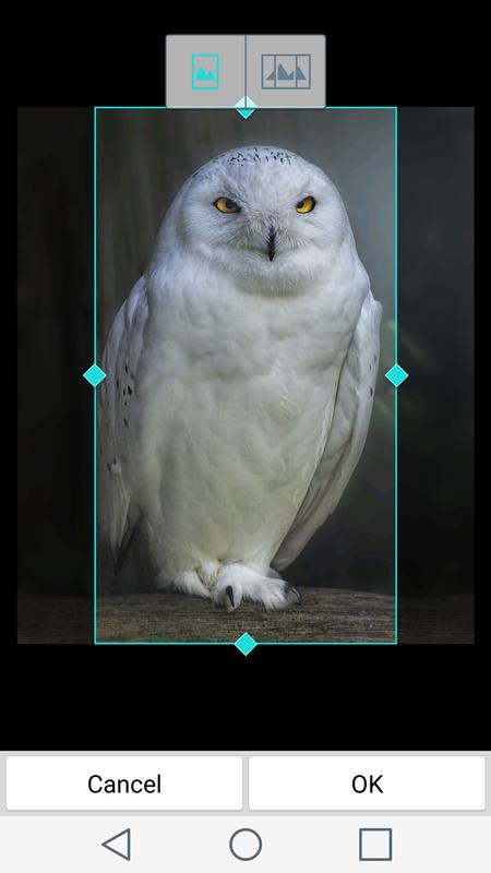 Night owl hd app free